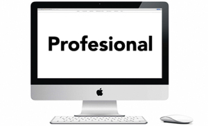 Cuenta Profesional de Mi Disco Virtual